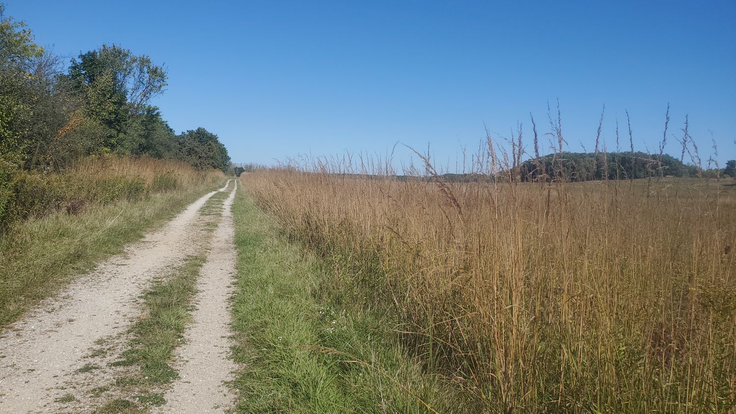 Shoe Factory Road Woods 